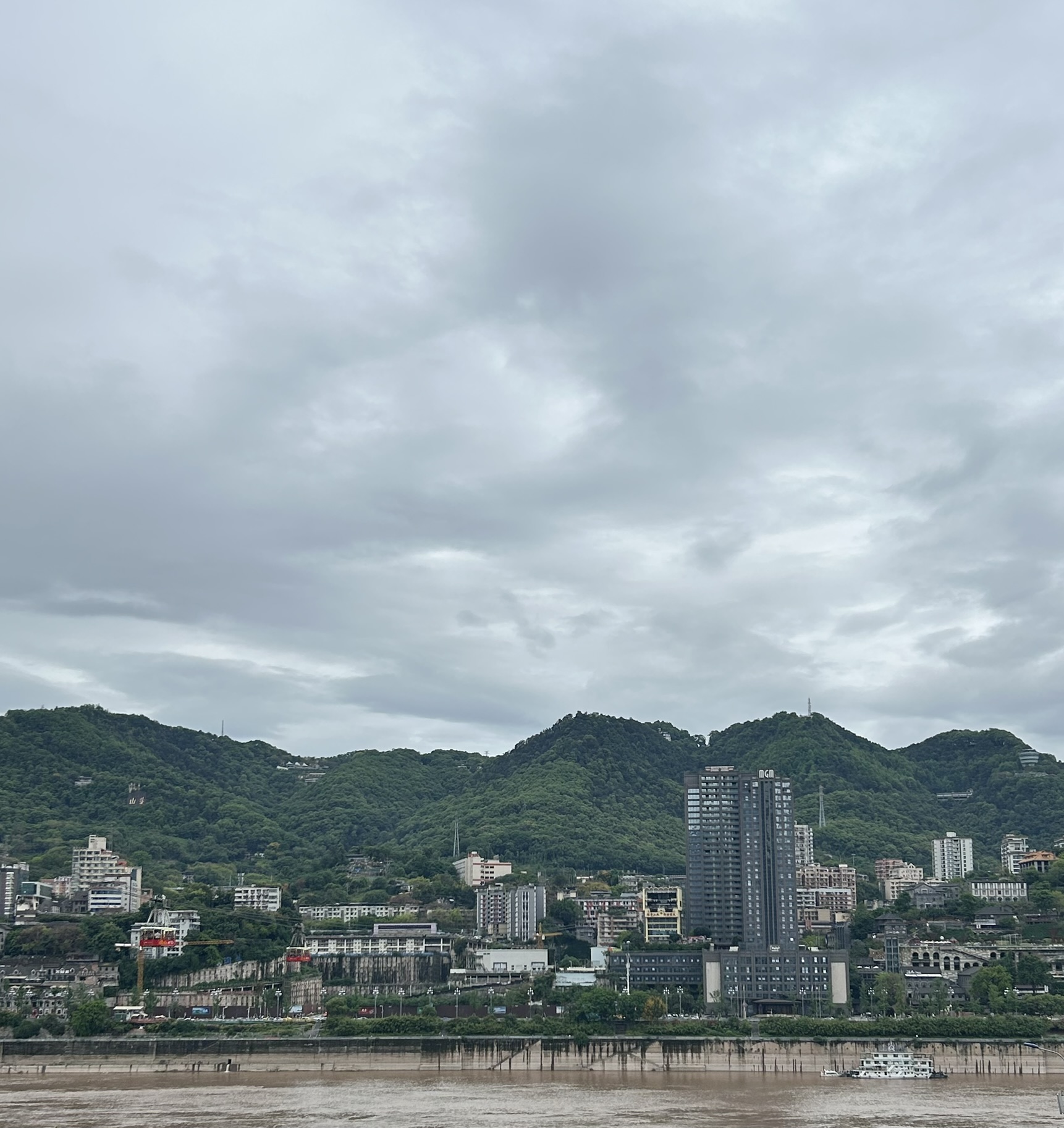 view
